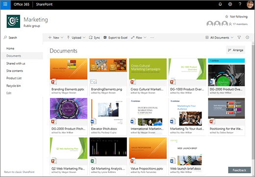 Document collection in gallery view